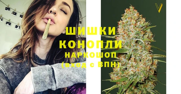 бошки Белокуриха
