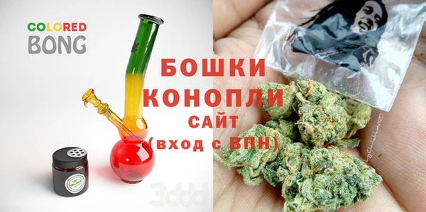 бошки Белокуриха